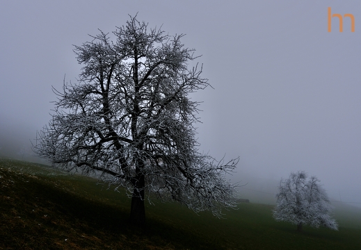 Frosty Glaubenberg CH 2025
