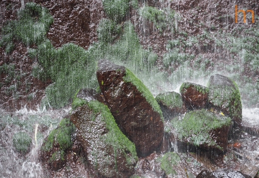Greenwashing Madeira PT 2024