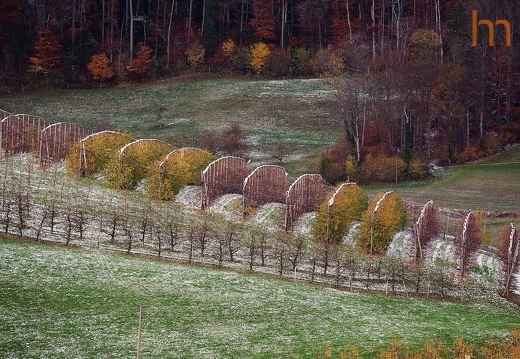 Herbstfarben Eptingen CH 2023
