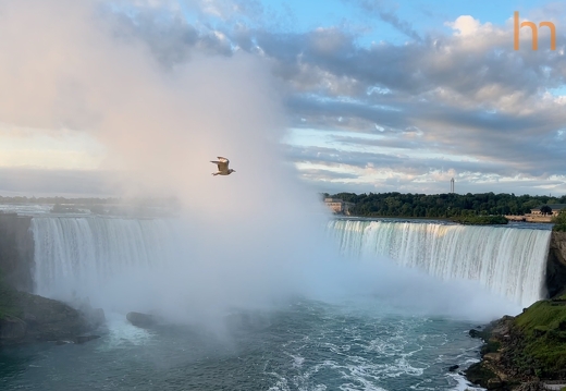 Niagara CA 2024