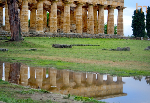Säulen Paestum IT 2019
