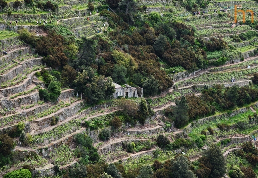 Scala di viti 5 Terre IT 2025