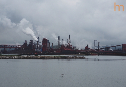 Stelco Hamilton CA 2024