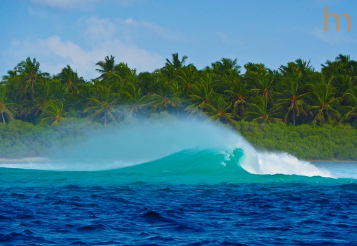 Surfers Paradise Malediven MV 2019