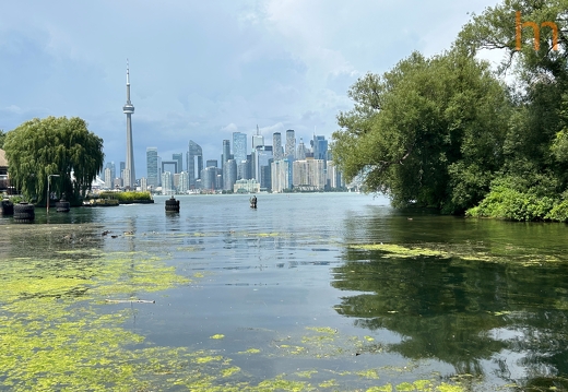 Toronto Island CA 2024