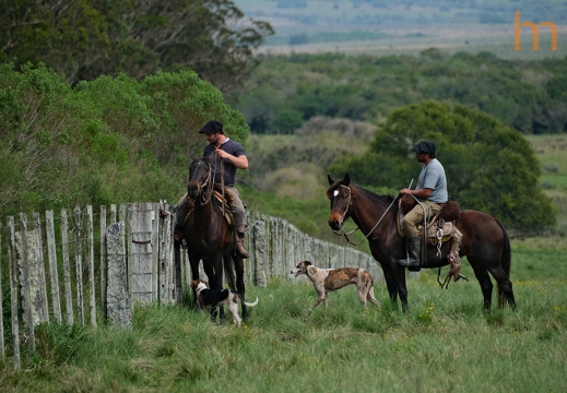 Waidmannsheil Pampas UY 2025