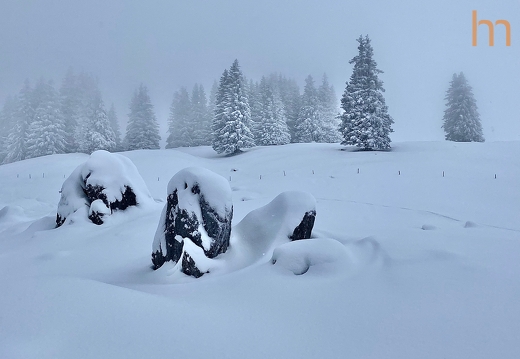 Winterwonderland Diemtigtal CH 2023