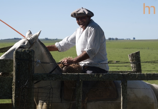 Gaucho Pampas UY 2025