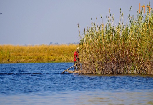 Okavango